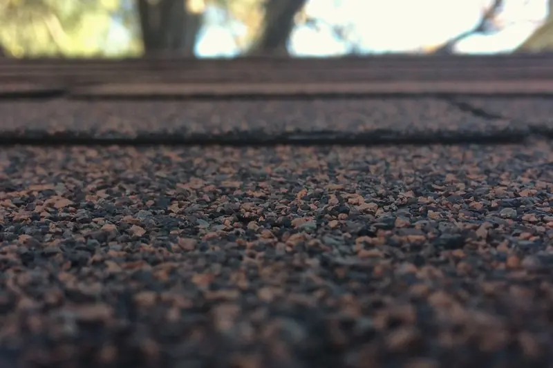 Close-up of asphalt roof shingle granules